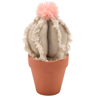 Barrel Cactus Sitter