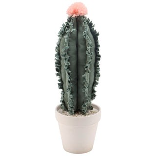 Columnar Cactus Sitter