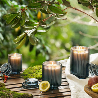 Amélie Collection - Hey Bais 11oz Candle