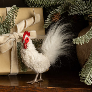 Standing White Rooster