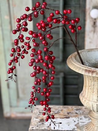 Iced Weatherproof Berry Spray