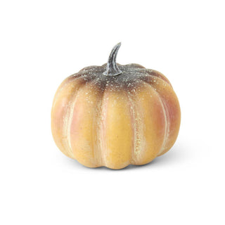 Little Harvest Pumpkin