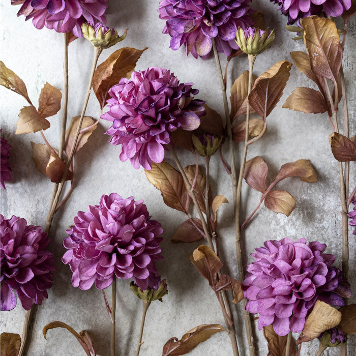 Faux Dried Dahlia Stem Cotton & Crete