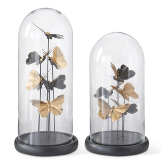 Glass Cloche w/Gold Butterflies - Choose Size