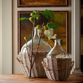 27.5" Kadota Fig Stem