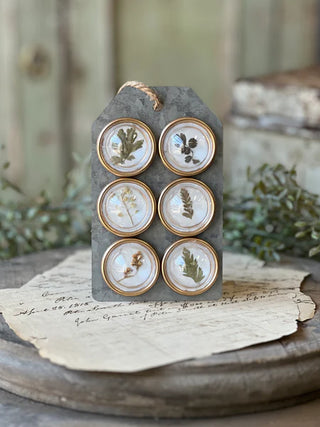 Set of 6 Tiny Treasure Magnets - Ferns