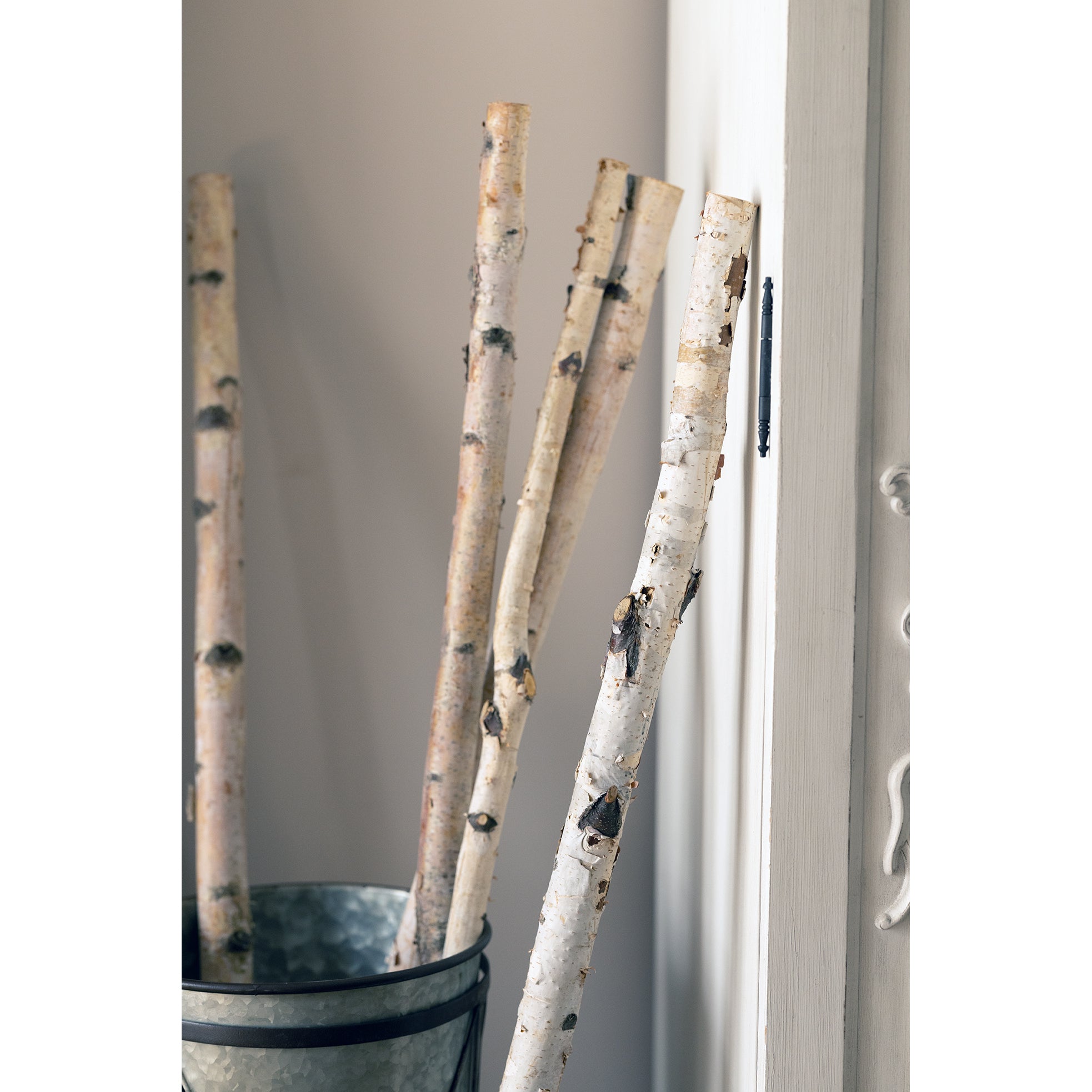 Birch Pole Cotton & Crete