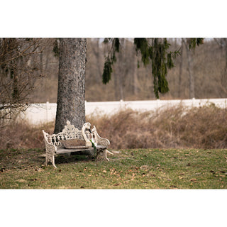 Swan Decoy Relic