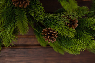 Cozy Cottage Winter: How to Create a Warm & Inviting Home This Season