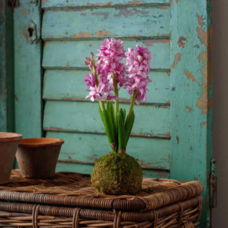 Spring Decor