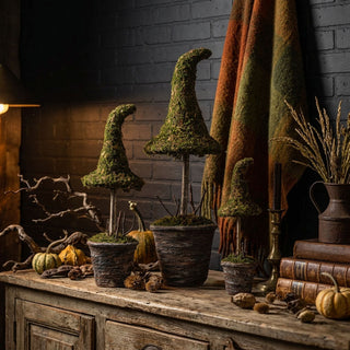 The Witch Keeps A Beautiful House
