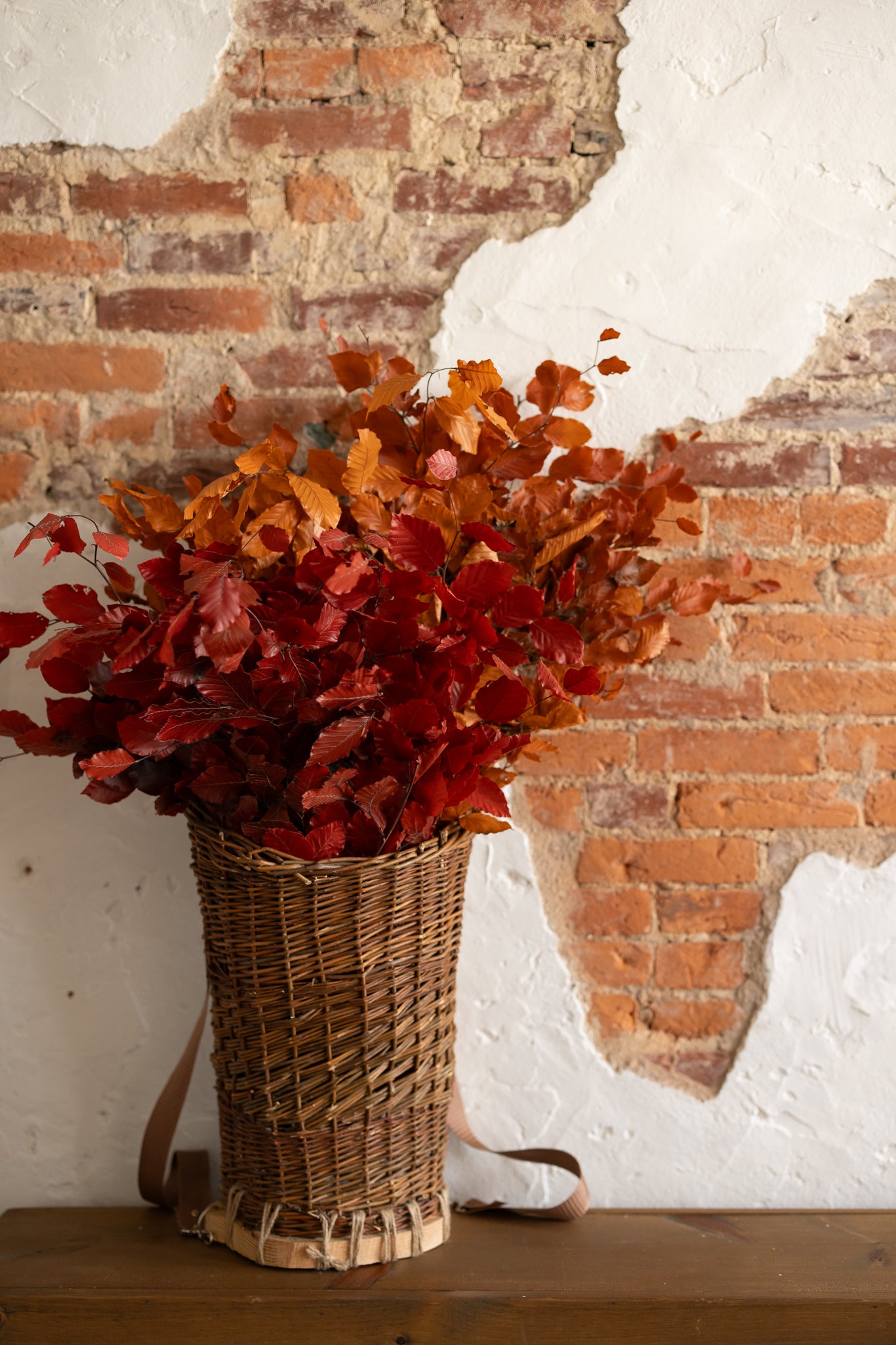 Preserved Dried Beech Tree Leaves - Choose Red or Orange