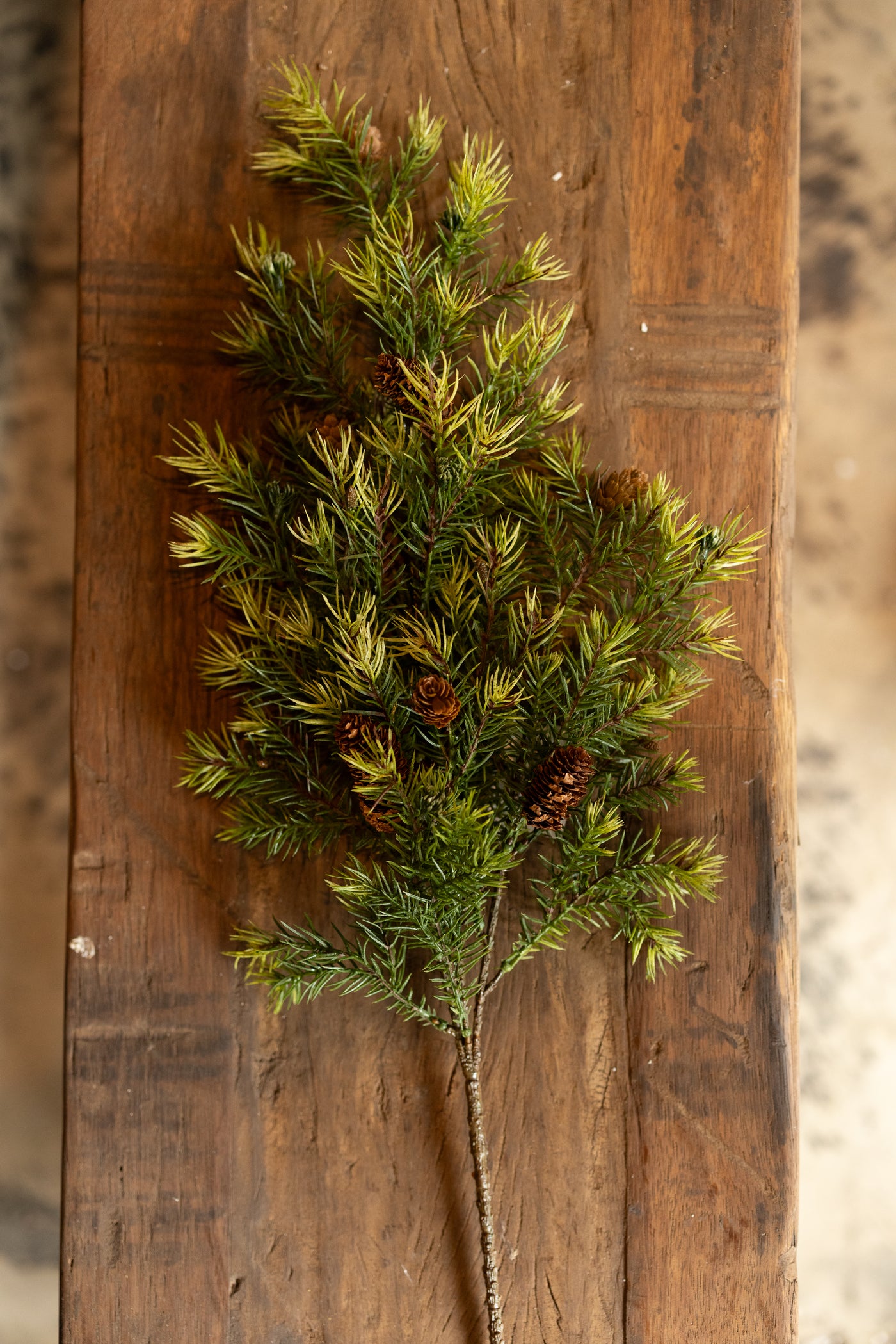 24" Angel Pine Stem