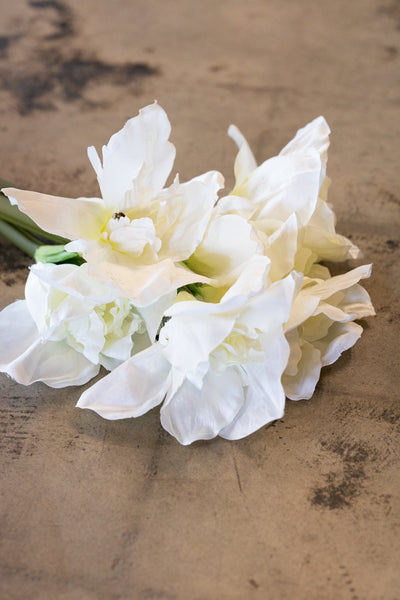 31" White Amaryllis Stem