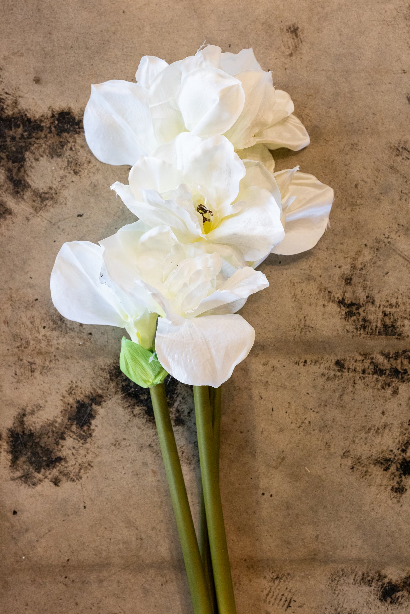 31" White Amaryllis Stem