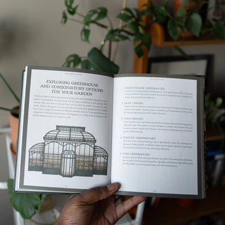 Jane Austen's Garden By Molly Williams