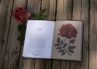 Floriography Book
