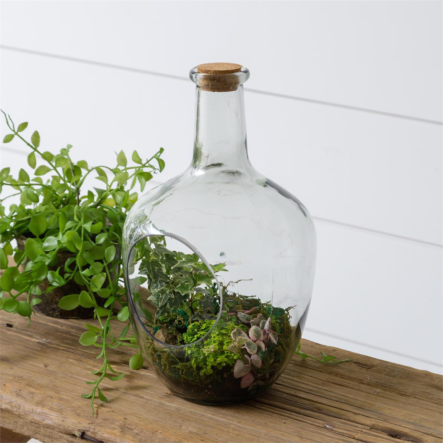 plants in a bottle terrarium Front Open Terrarium with Cork
