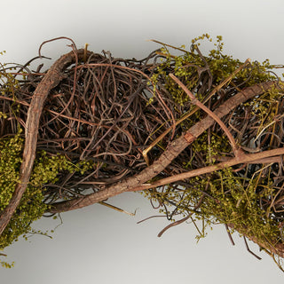 13.75" Moss and Grapevine Wreath