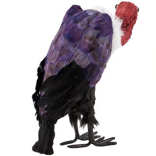 Vulture Sitter