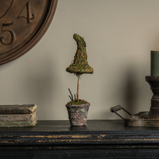 Potted Moss Witch’s Hat – Available in 3 Sizes