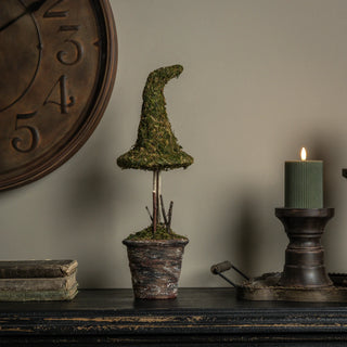 Potted Moss Witch’s Hat – Available in 3 Sizes