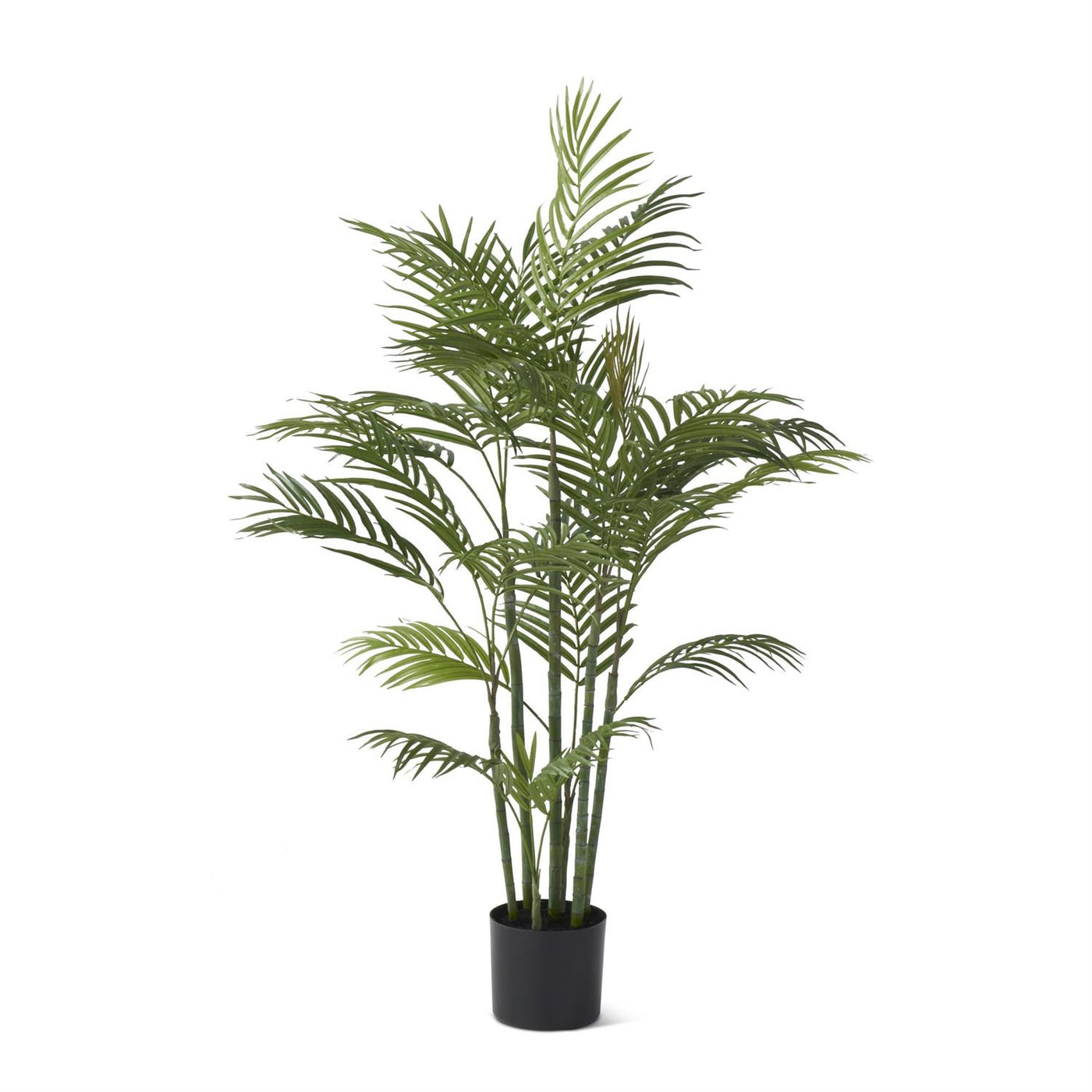 4' Potted Palm Tree