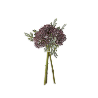 12" Purple Sedum Bundle