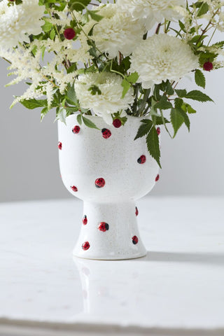 Ladybug Buzzy Compote