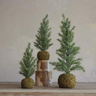 15.75" Frosted Faux Fir Tree with Moss Ball Base