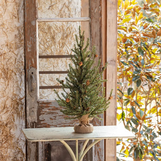 24" Faux Douglas Fir Seedling Tree
