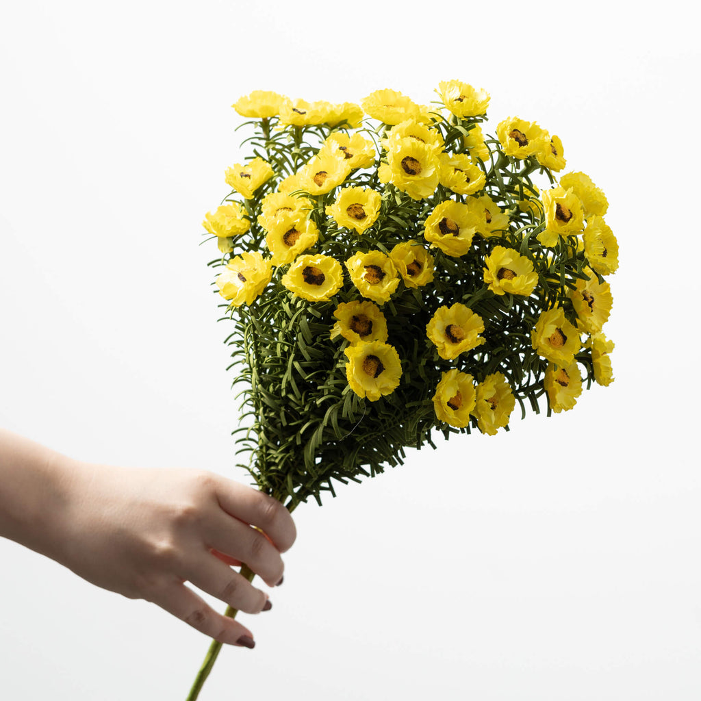 Yellow Daisy Bush – Cotton & Crete