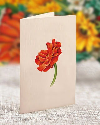 Mini Pumpkin Harvest Pop Up Card