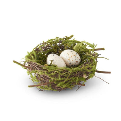 Bird Nest with 2 Eggs