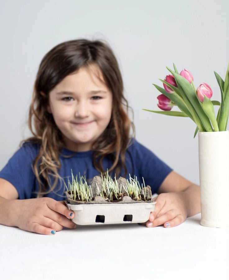 Egg Coloring and Seed Growing Kit