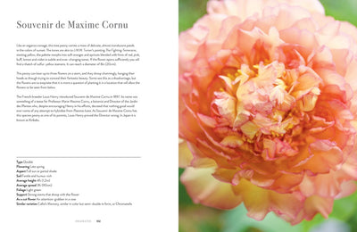 Peonies - Beautiful Varieties for Home and Garden