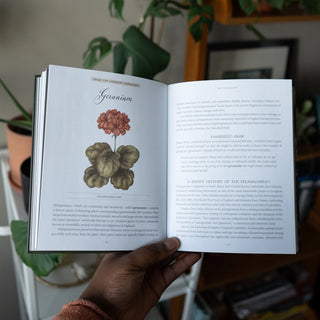 Jane Austen's Garden By Molly Williams