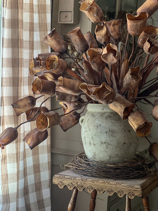 38" Rustic Chestnut Pod Spray