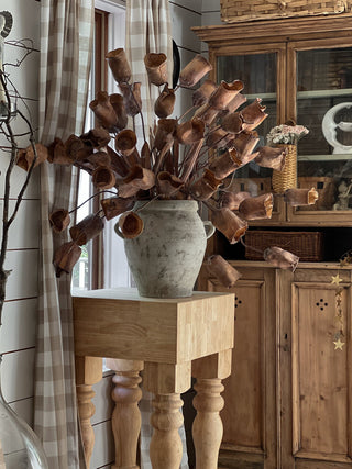38" Rustic Chestnut Pod Spray