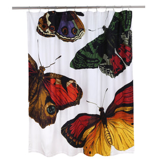 72" Metamorphosis Cotton Shower Curtain