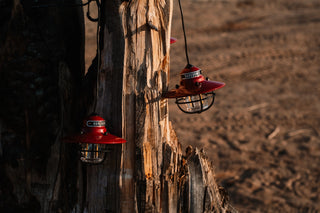 10' Edison String Lights - Red
