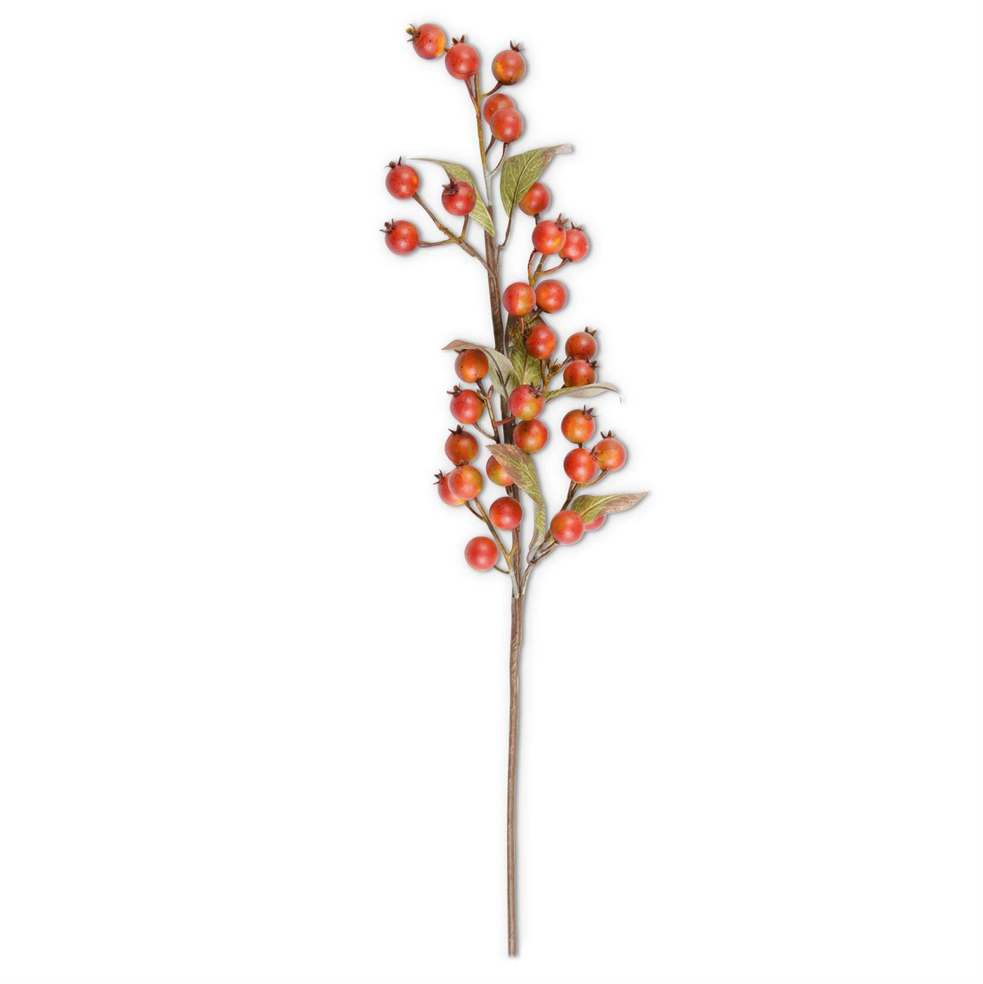 32" Orange Rosehip Stem