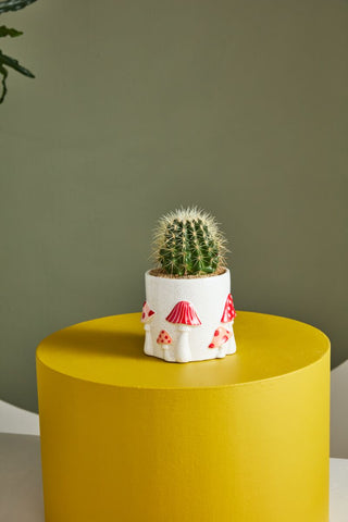 Cheerful Mushroom Pot
