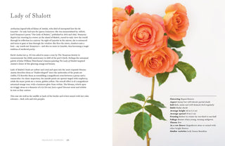 Vintage Roses - Beautiful Varieties for Home and Garden