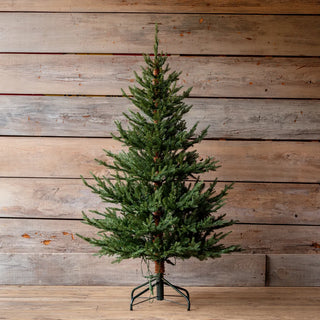 5 Foot Olympia Fir Prelit Tree