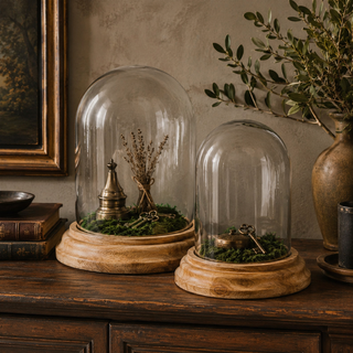 Glass Cloche With Wooden Base - Choose Size