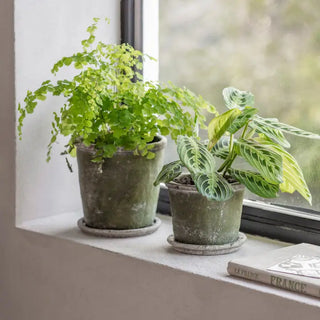 Pewsey Planter - Choose Size