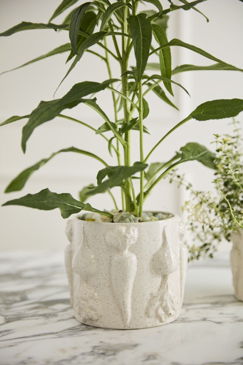 The Veggie Flowerpot - 6.25 Inch