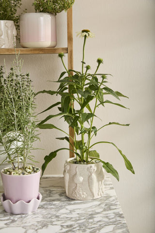 The Veggie Flowerpot Planter - 6.25 Inch