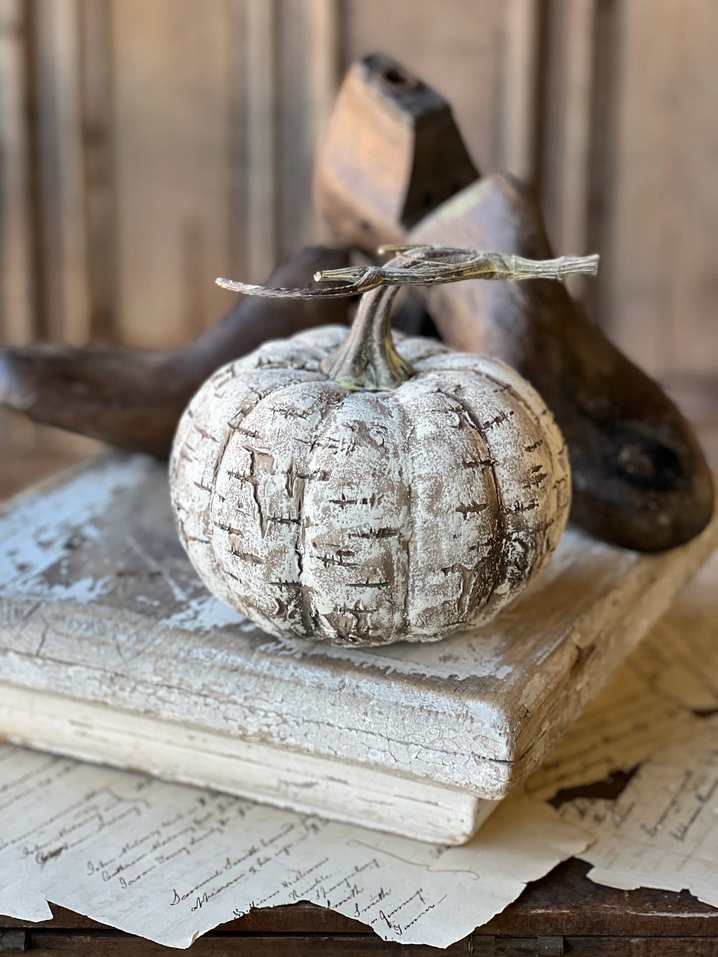 6" White Birch Pumpkin